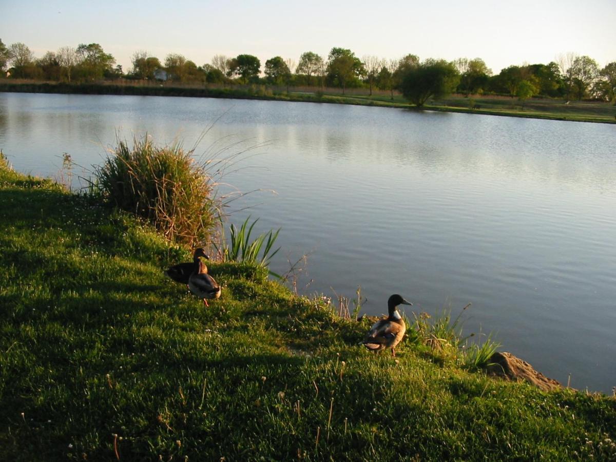 Camping Du Lac De Saujon Exteriér fotografie